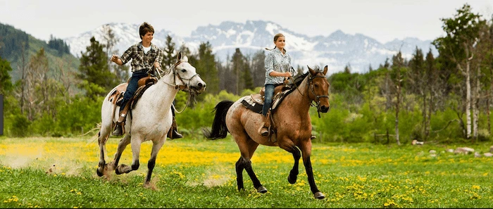 Confident plus-size woman riding Cirencester a horse through a field with a smile on her face.
